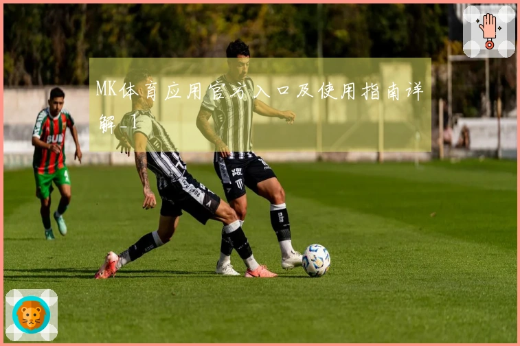 MK体育应用官方入口及使用指南详解_1