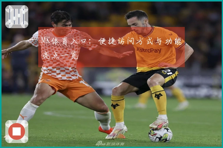 MK体育入口：便捷访问方式与功能亮点一览