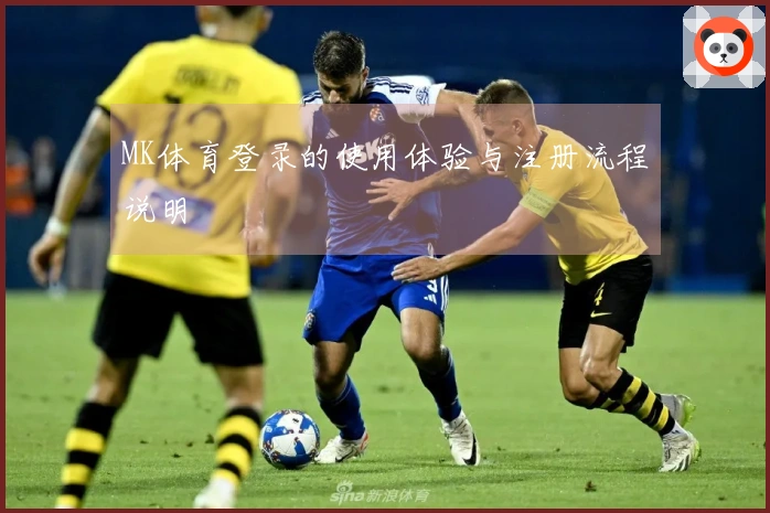 MK体育登录的使用体验与注册流程说明