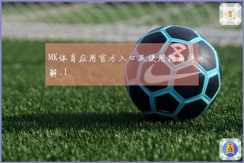 MK体育应用官方入口及使用指南详解_1